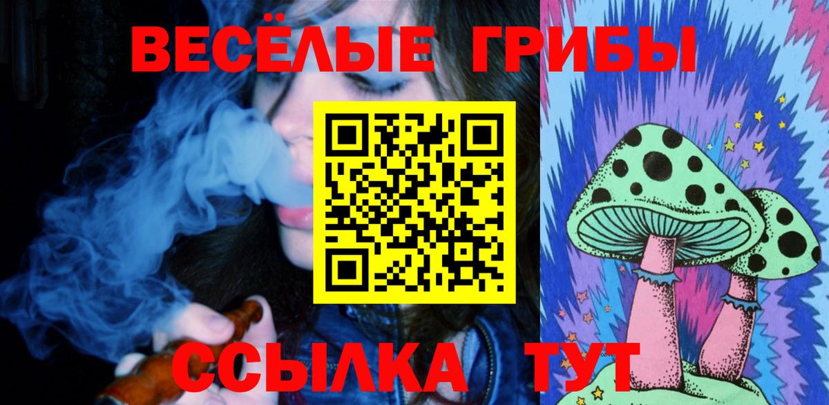 Галлюциногенные грибы GOLDEN TEACHER Кумертау
