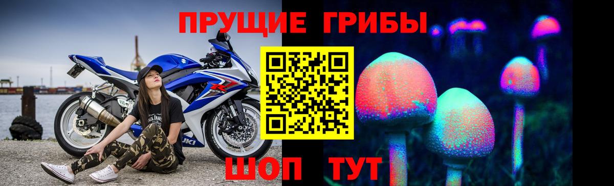 закладки  Псилоцибиновые грибы Magic Shrooms  Вход с VPN  Кумертау  Псилоцибиновые грибы Cubensis 